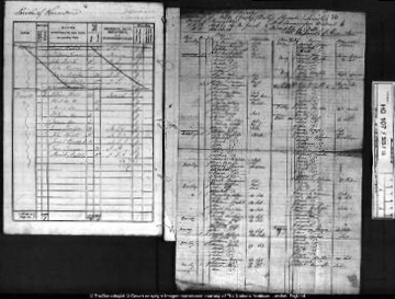 An unusual census document
