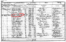 Census Record