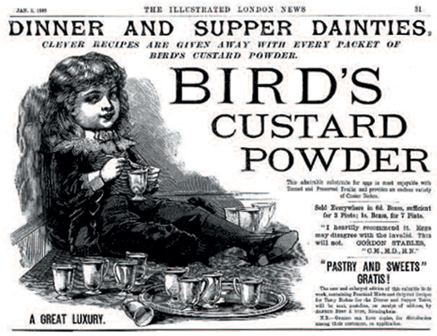 Bird's advertisement