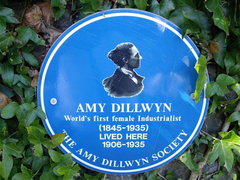 Amy Dillwyn